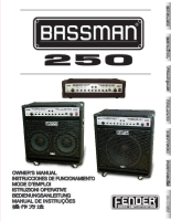 Fender Bassman-250 - Owners Manual